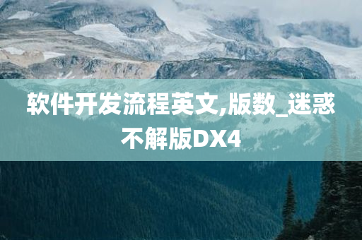 软件开发流程英文,版数_迷惑不解版DX4