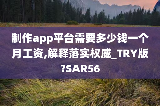 制作app平台需要多少钱一个月工资,解释落实权威_TRY版?SAR56