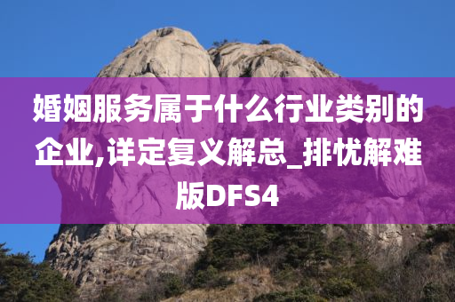 婚姻服务属于什么行业类别的企业,详定复义解总_排忧解难版DFS4