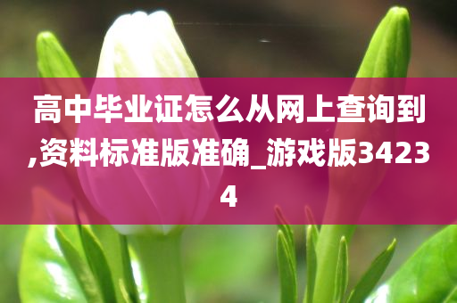 高中毕业证怎么从网上查询到,资料标准版准确_游戏版34234