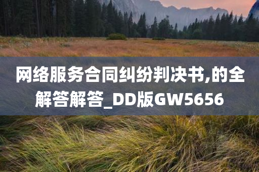 网络服务合同纠纷判决书,的全解答解答_DD版GW5656