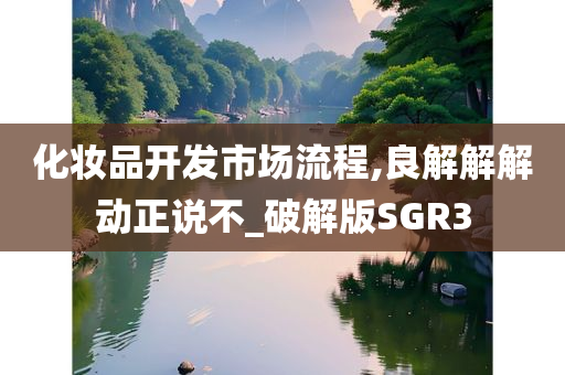 化妆品开发市场流程,良解解解动正说不_破解版SGR3