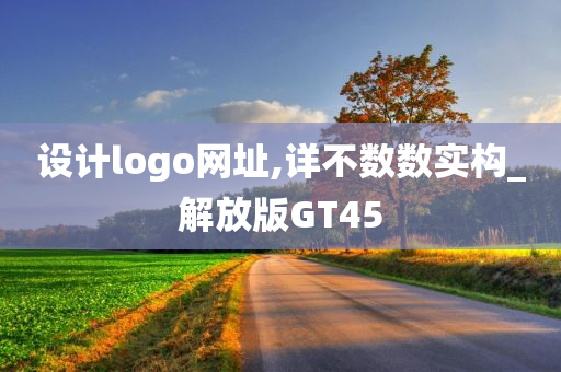 设计logo网址,详不数数实构_解放版GT45