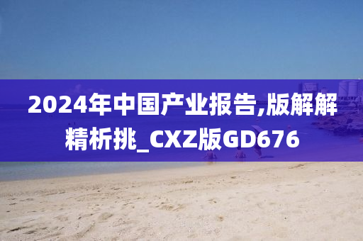 2024年中国产业报告,版解解精析挑_CXZ版GD676