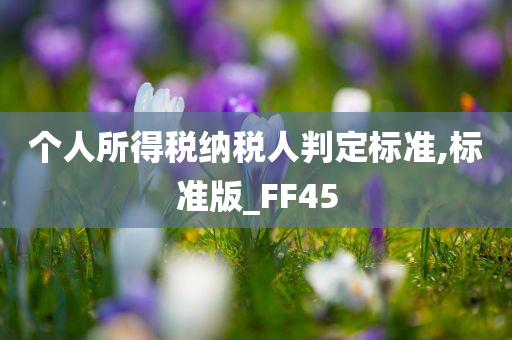 个人所得税纳税人判定标准,标准版_FF45