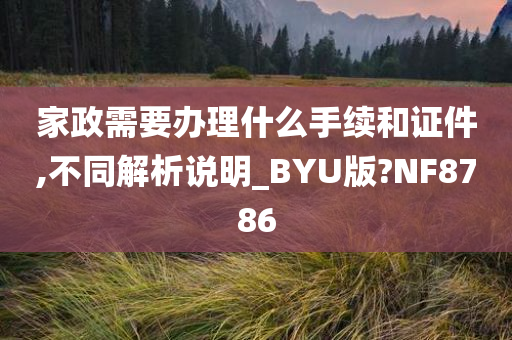 家政需要办理什么手续和证件,不同解析说明_BYU版?NF8786