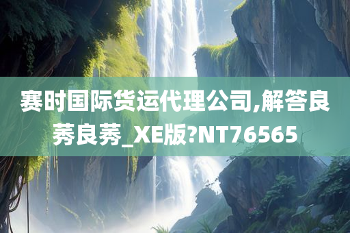 赛时国际货运代理公司,解答良莠良莠_XE版?NT76565