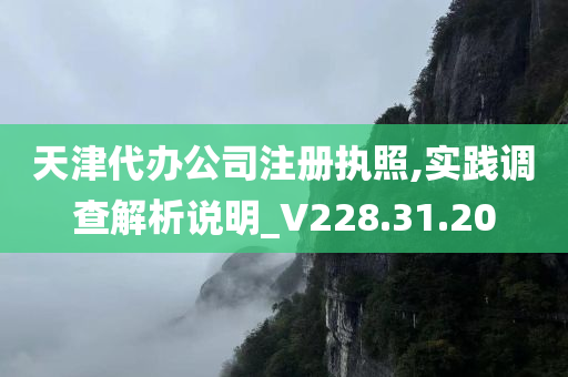 天津代办公司注册执照,实践调查解析说明_V228.31.20