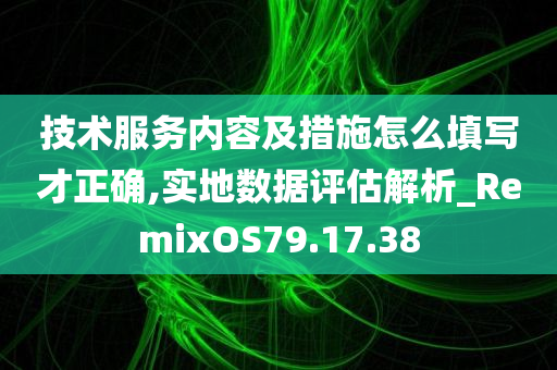 技术服务内容及措施怎么填写才正确,实地数据评估解析_RemixOS79.17.38