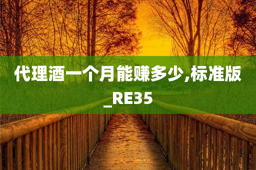 代理酒一个月能赚多少,标准版_RE35