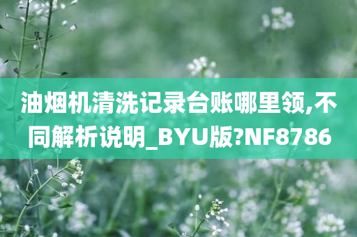 油烟机清洗记录台账哪里领,不同解析说明_BYU版?NF8786