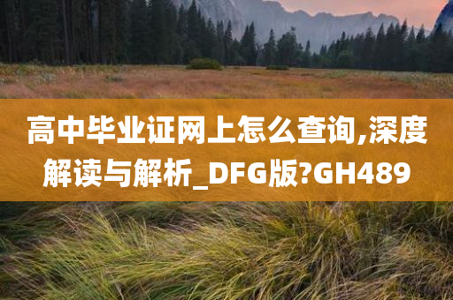 高中毕业证网上怎么查询,深度解读与解析_DFG版?GH489