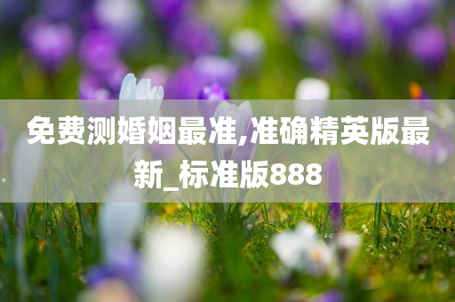 免费测婚姻最准,准确精英版最新_标准版888