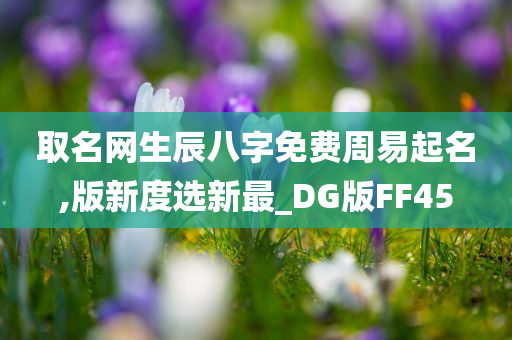 取名网生辰八字免费周易起名,版新度选新最_DG版FF45