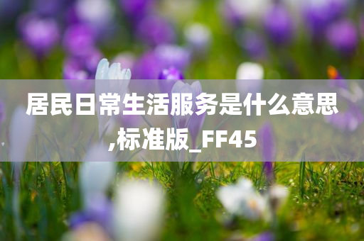 居民日常生活服务是什么意思,标准版_FF45