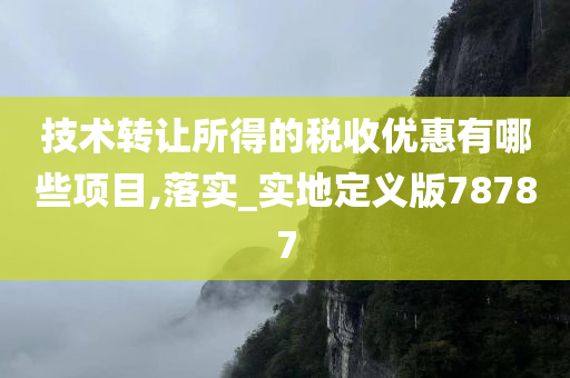 技术转让所得的税收优惠有哪些项目,落实_实地定义版78787