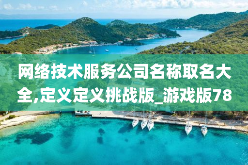 网络技术服务公司名称取名大全,定义定义挑战版_游戏版78