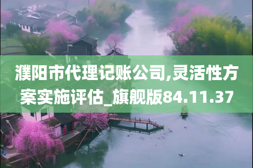 濮阳市代理记账公司,灵活性方案实施评估_旗舰版84.11.37