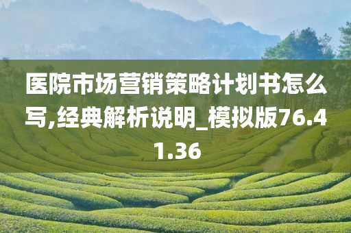 医院市场营销策略计划书怎么写,经典解析说明_模拟版76.41.36