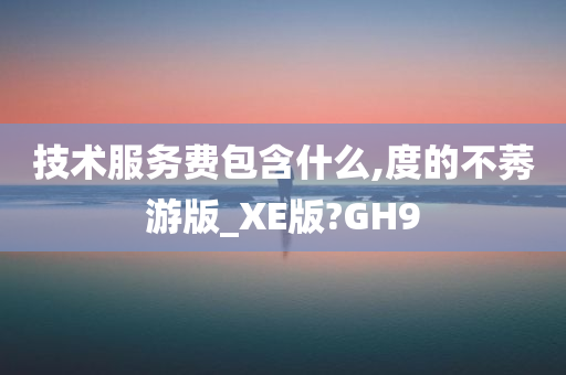 技术服务费包含什么,度的不莠游版_XE版?GH9