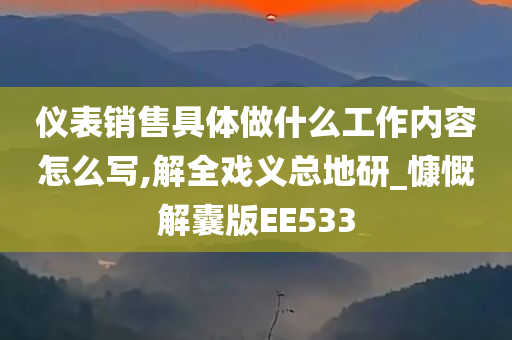 仪表销售具体做什么工作内容怎么写,解全戏义总地研_慷慨解囊版EE533