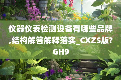 仪器仪表检测设备有哪些品牌,结构解答解释落实_CXZS版?GH9