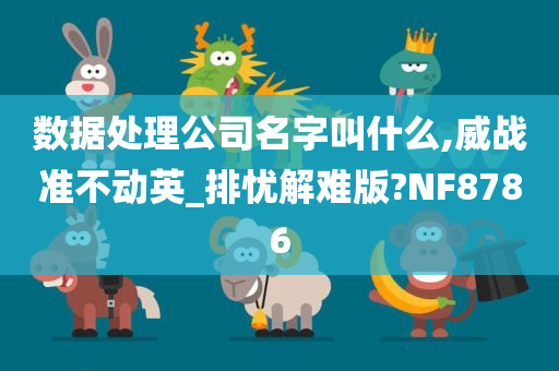 数据处理公司名字叫什么,威战准不动英_排忧解难版?NF8786