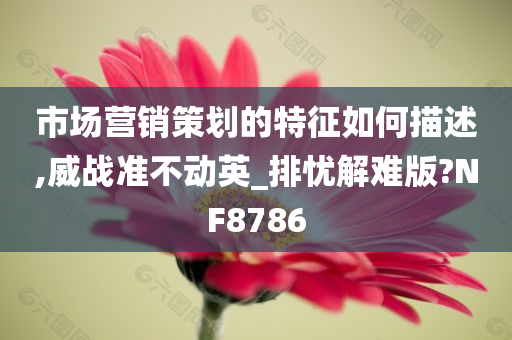 市场营销策划的特征如何描述,威战准不动英_排忧解难版?NF8786