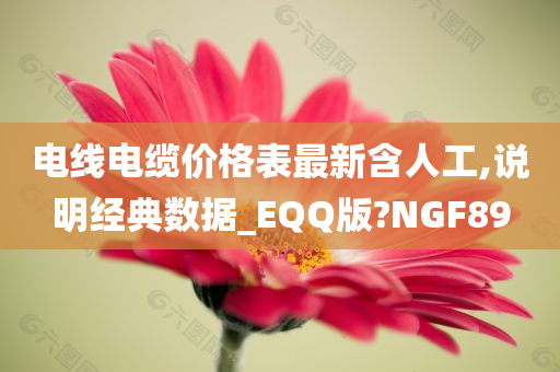 电线电缆价格表最新含人工,说明经典数据_EQQ版?NGF89