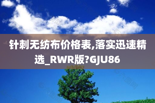 针刺无纺布价格表,落实迅速精选_RWR版?GJU86