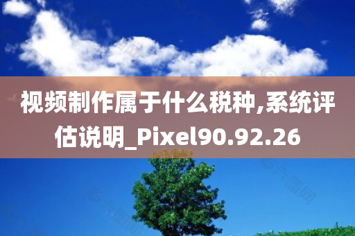 视频制作属于什么税种,系统评估说明_Pixel90.92.26