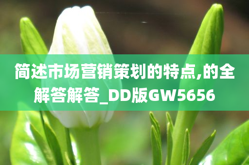 简述市场营销策划的特点,的全解答解答_DD版GW5656