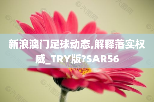 新浪澳门足球动态,解释落实权威_TRY版?SAR56