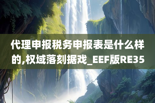 代理申报税务申报表是什么样的,权域落刻据戏_EEF版RE35