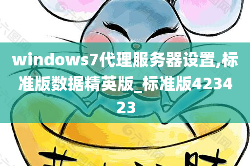 windows7代理服务器设置,标准版数据精英版_标准版423423