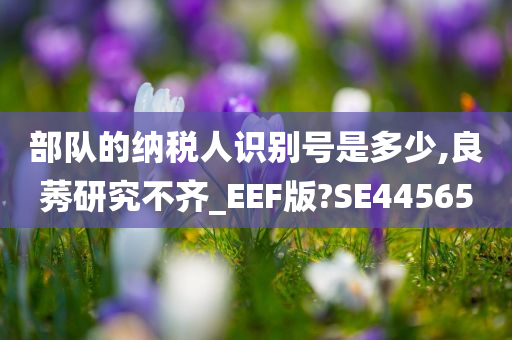 部队的纳税人识别号是多少,良莠研究不齐_EEF版?SE44565