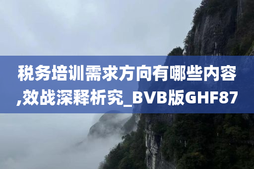 税务培训需求方向有哪些内容,效战深释析究_BVB版GHF87