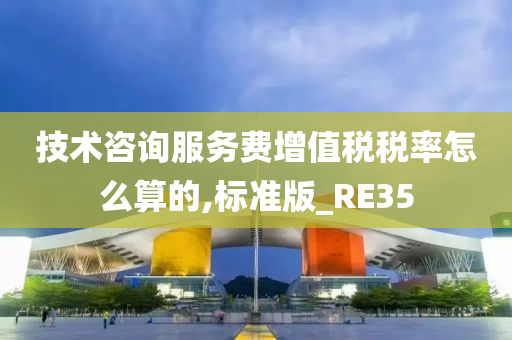 技术咨询服务费增值税税率怎么算的,标准版_RE35