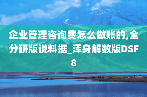 企业管理咨询费怎么做账的,全分研版说料据_浑身解数版DSF8