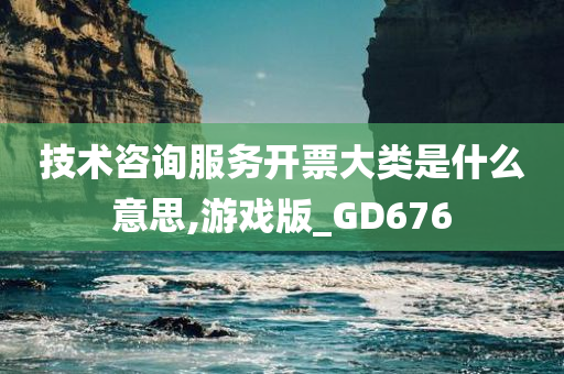 技术咨询服务开票大类是什么意思,游戏版_GD676