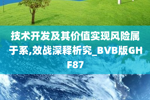 技术开发及其价值实现风险属于系,效战深释析究_BVB版GHF87