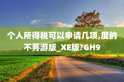 个人所得税可以申请几项,度的不莠游版_XE版?GH9