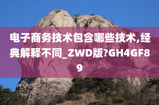 电子商务技术包含哪些技术,经典解释不同_ZWD版?GH4GF89