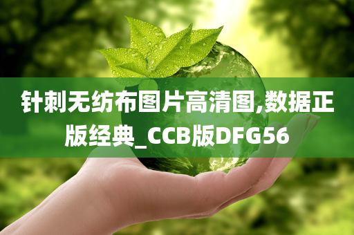 针刺无纺布图片高清图,数据正版经典_CCB版DFG56