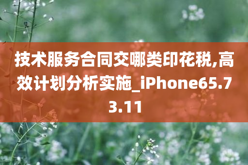 技术服务合同交哪类印花税,高效计划分析实施_iPhone65.73.11