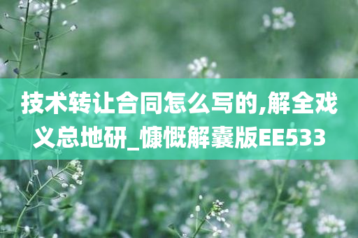 技术转让合同怎么写的,解全戏义总地研_慷慨解囊版EE533