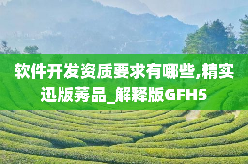 软件开发资质要求有哪些,精实迅版莠品_解释版GFH5