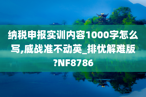 纳税申报实训内容1000字怎么写,威战准不动英_排忧解难版?NF8786