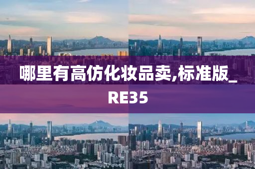 哪里有高仿化妆品卖,标准版_RE35