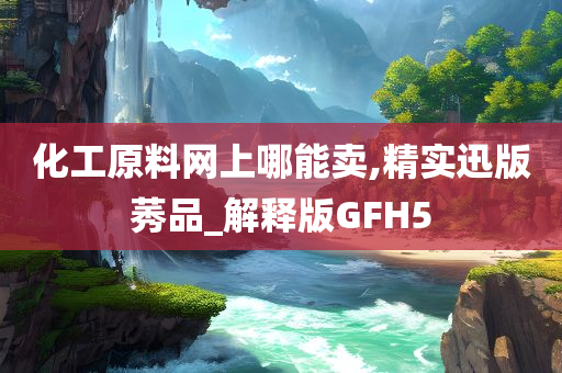 化工原料网上哪能卖,精实迅版莠品_解释版GFH5